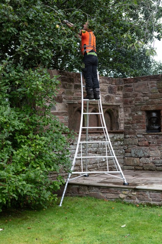 Orchard Tripod Ladder Three Leg Adjustable Orchard Tripod Ladder Three Leg Adjustable