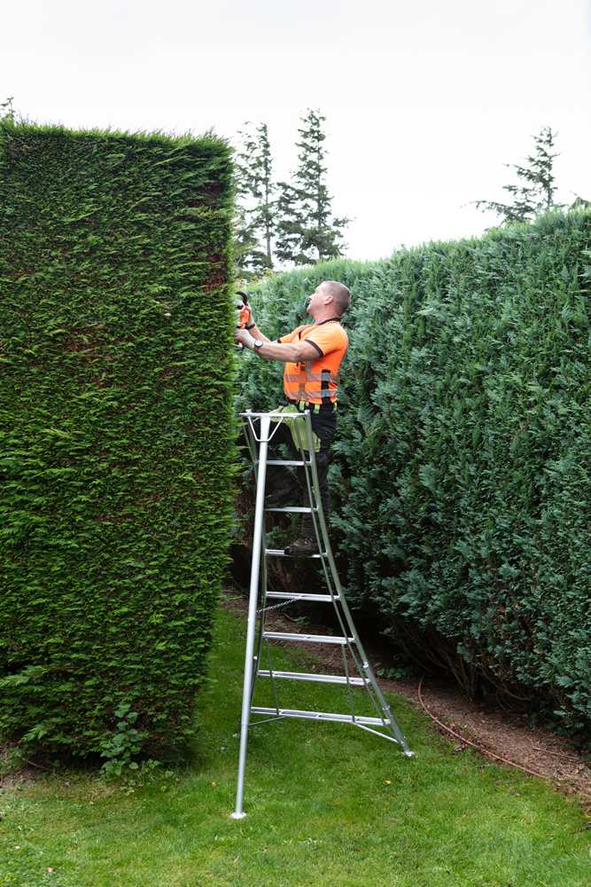 telescoping orchard ladder